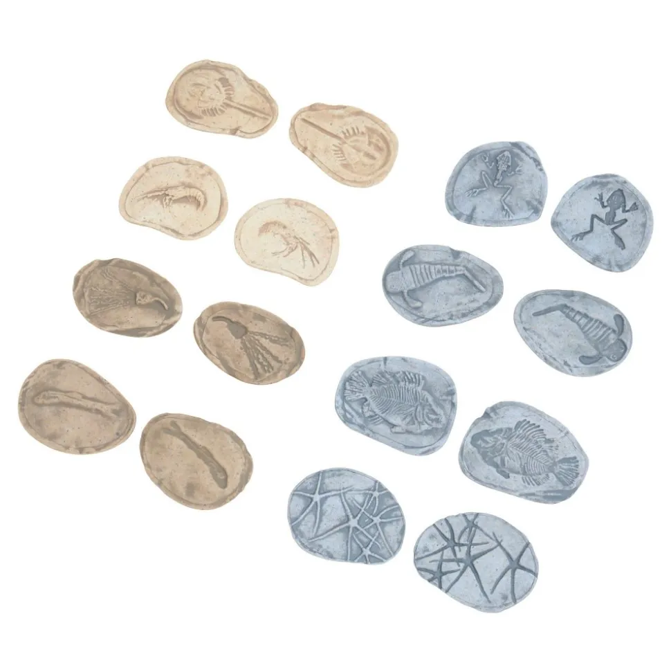 Magnetic Matching Aquatic Life Fossil Stones Set of 8