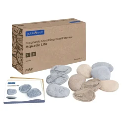Magnetic Matching Aquatic Life Fossil Stones Set of 8