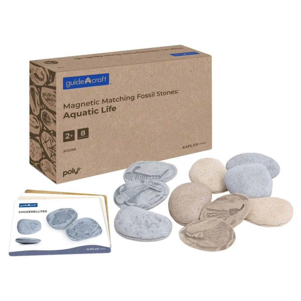 Magnetic Matching Aquatic Life Fossil Stones Set of 8
