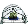 Mini Greenhouse with Cover