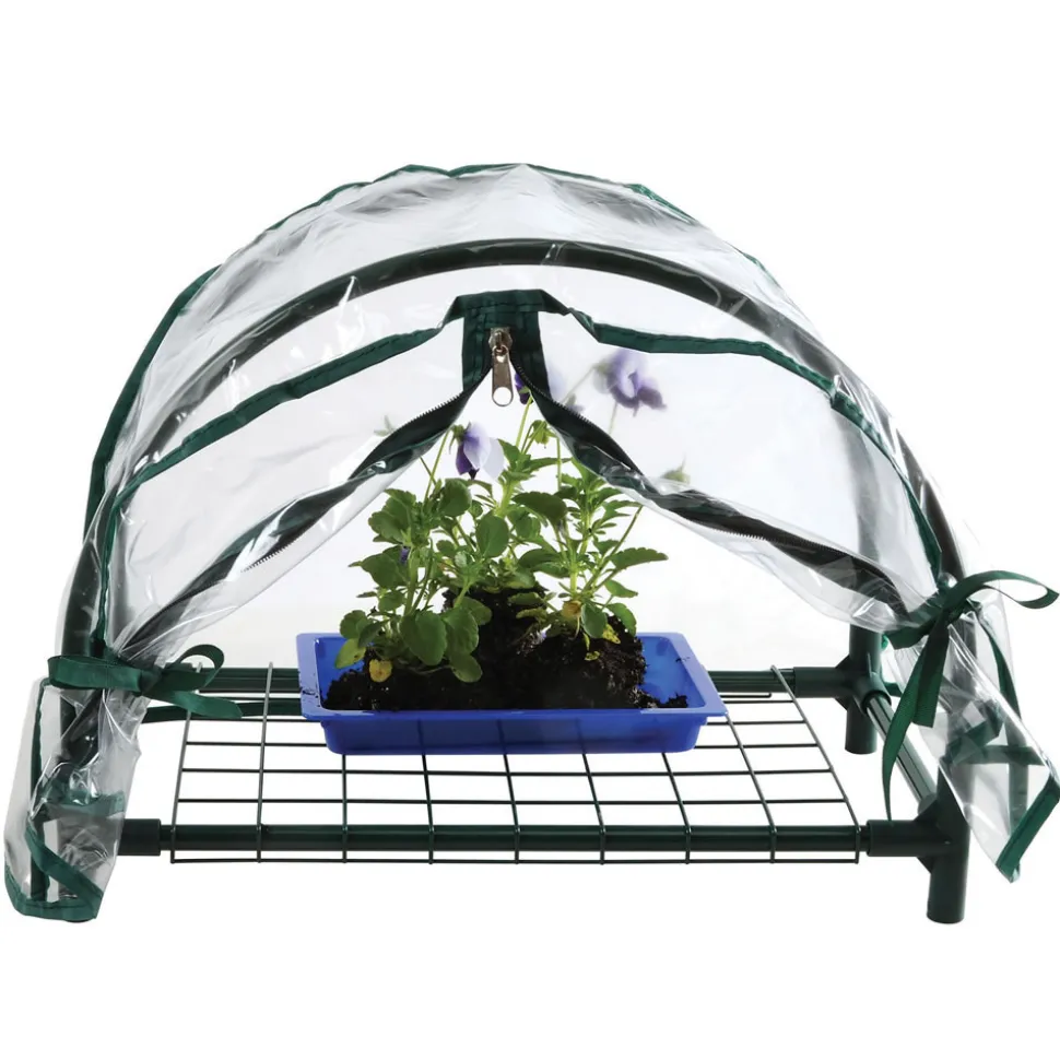 Mini Greenhouse with Cover