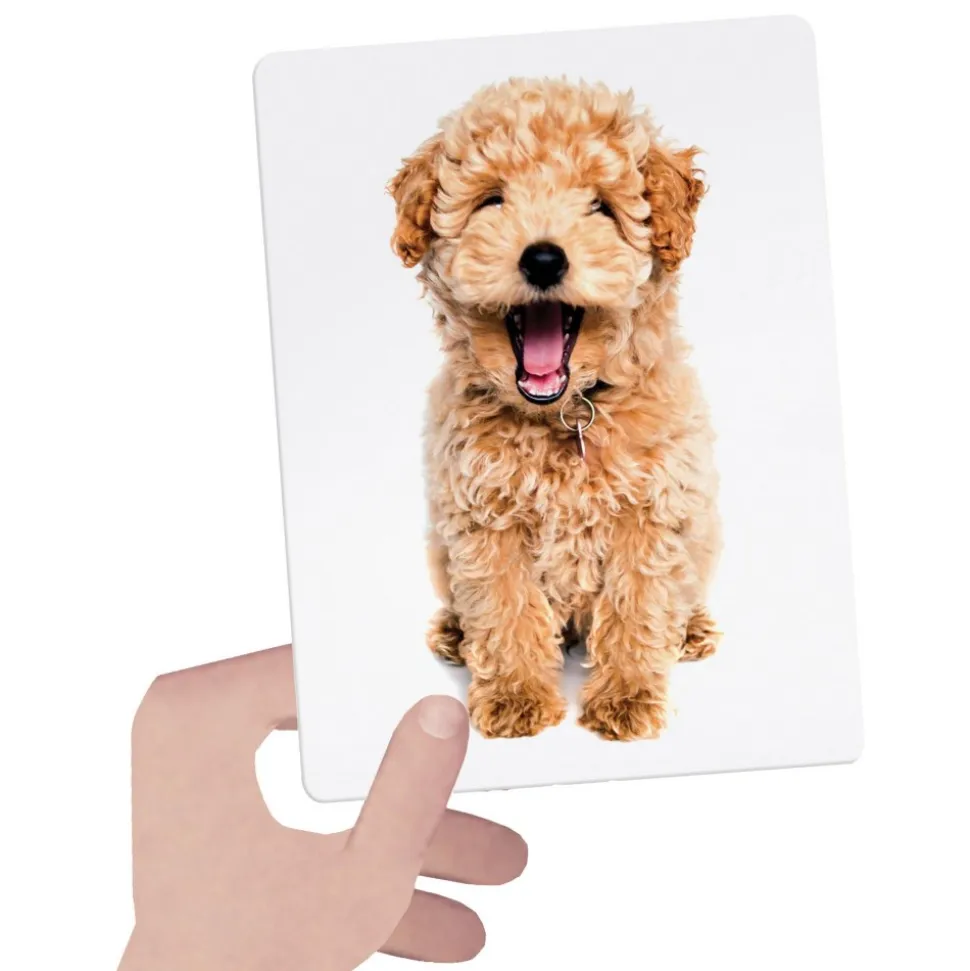 Montessori Tactile Flash Cards 24 Cards