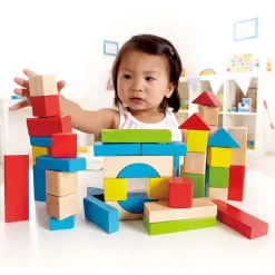 Natural & Color Maple Blocks 100 Pieces