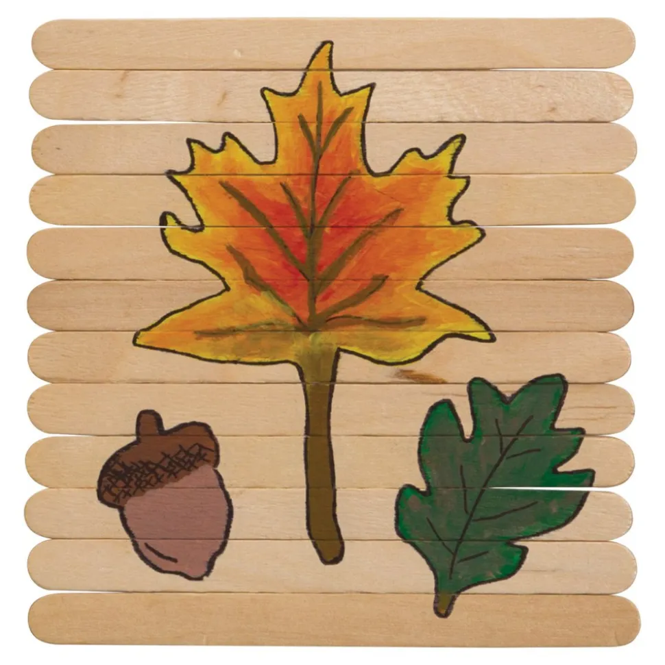 Natural Wood Craft Sticks 1000 Pieces
