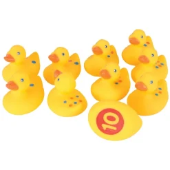 Number Fun Ducks 1-10