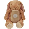 Nutbrown Hare Storytelling Puppet and Book Set