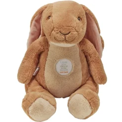 Nutbrown Hare Storytelling Puppet and Book Set