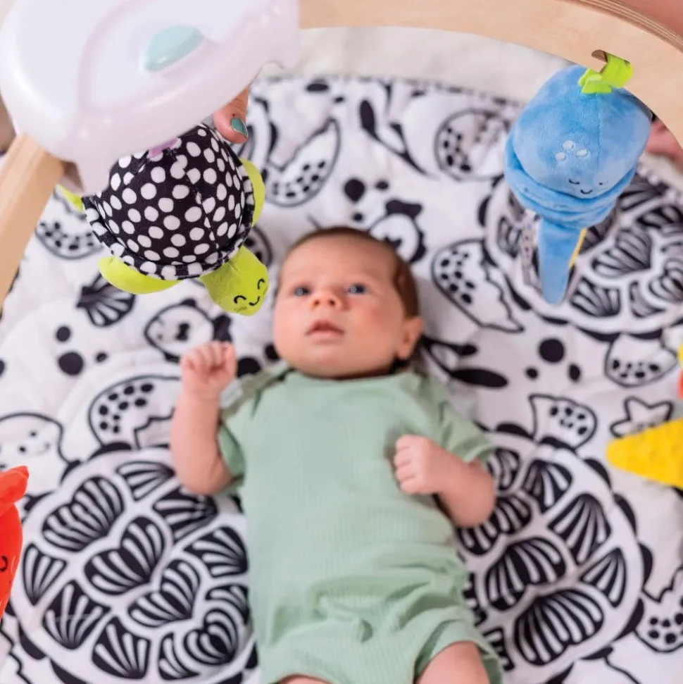 Ocean Easy-Fold Play Gym