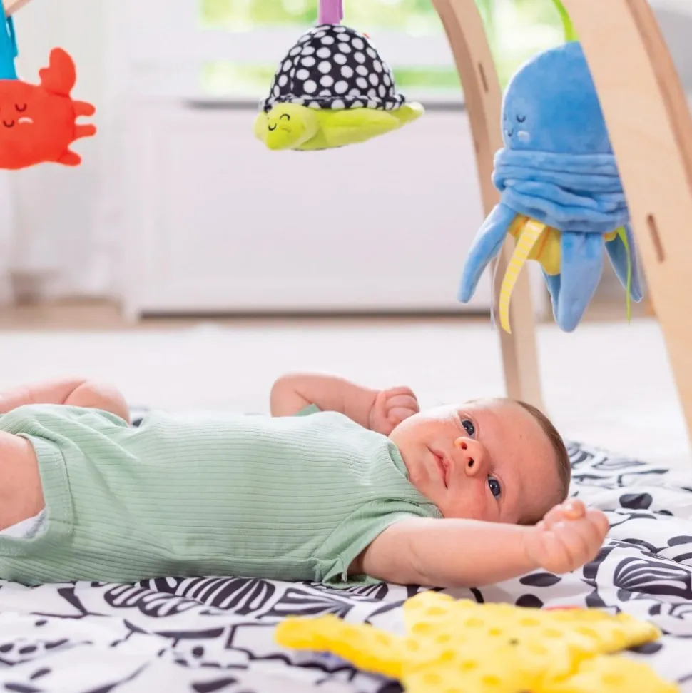 Ocean Easy-Fold Play Gym