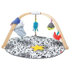 Ocean Easy-Fold Play Gym