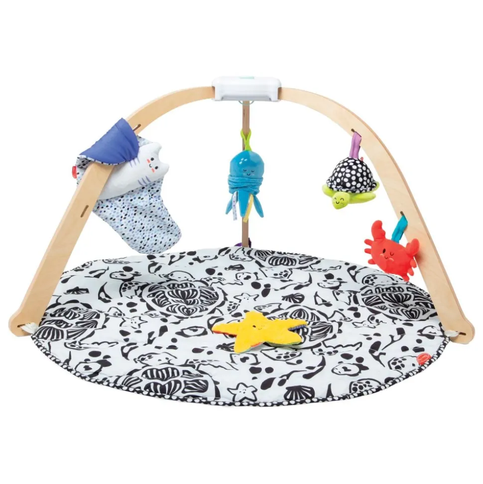 Ocean Easy-Fold Play Gym