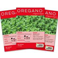 Oregano Seeds 3-Pack