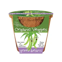 Organic Green Bean