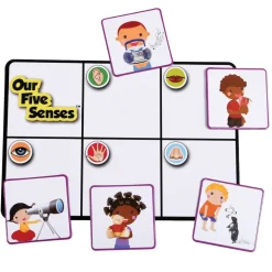 Our Five Senses