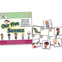 Our Five Senses