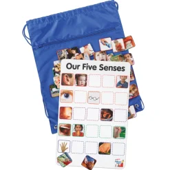 Our Five Senses Interactive Game