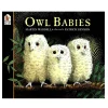 Owl Babies Big Book