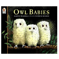 Owl Babies Big Book