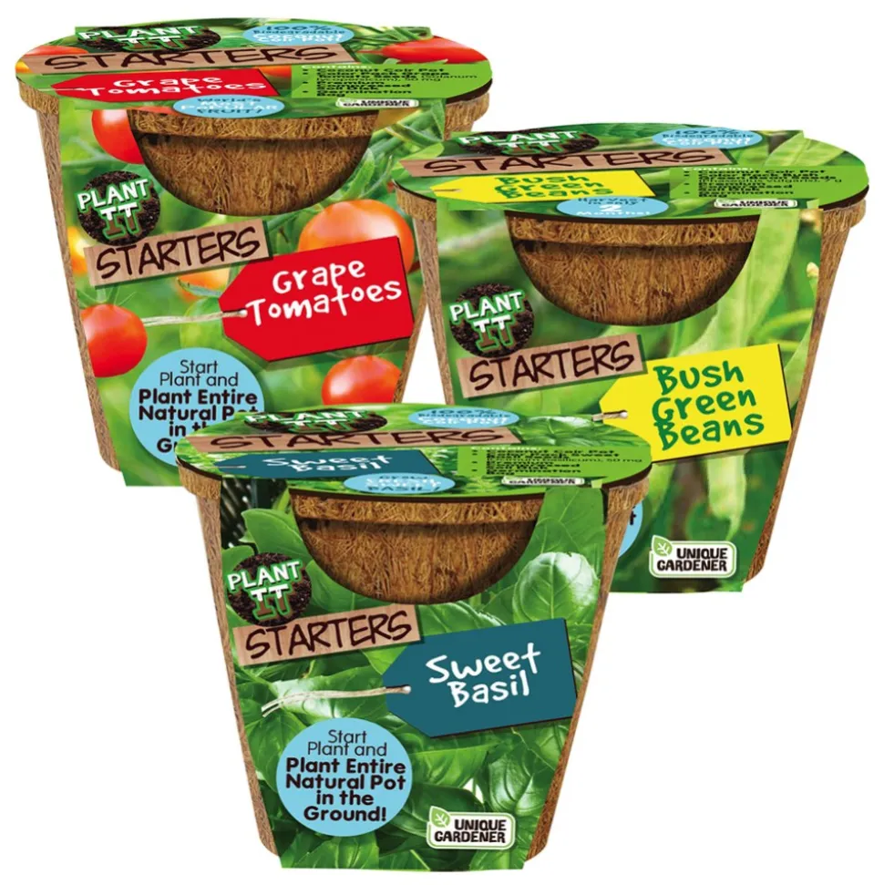 Plant-It Starters Vegetables and Herb Set of 3