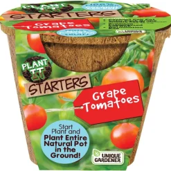Plant-It Starters Vegetables and Herb Set of 3