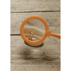 Play & Explore Bug Stones 8 Pieces