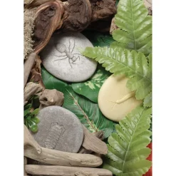 Play & Explore Bug Stones 8 Pieces