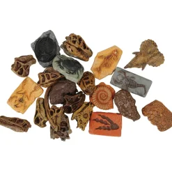 Prehistoric Fossil Dig