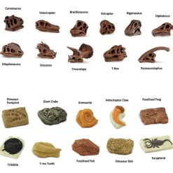 Prehistoric Fossil Dig