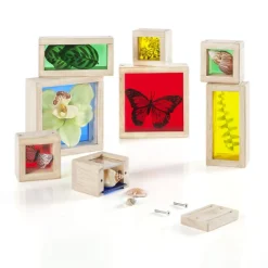 Primary Treasure Blocks Set of 8