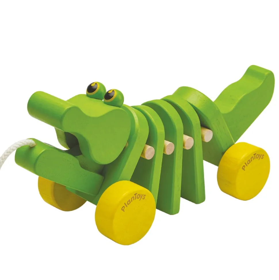 Pull Along Snail and Dancing Alligator Pull Toys