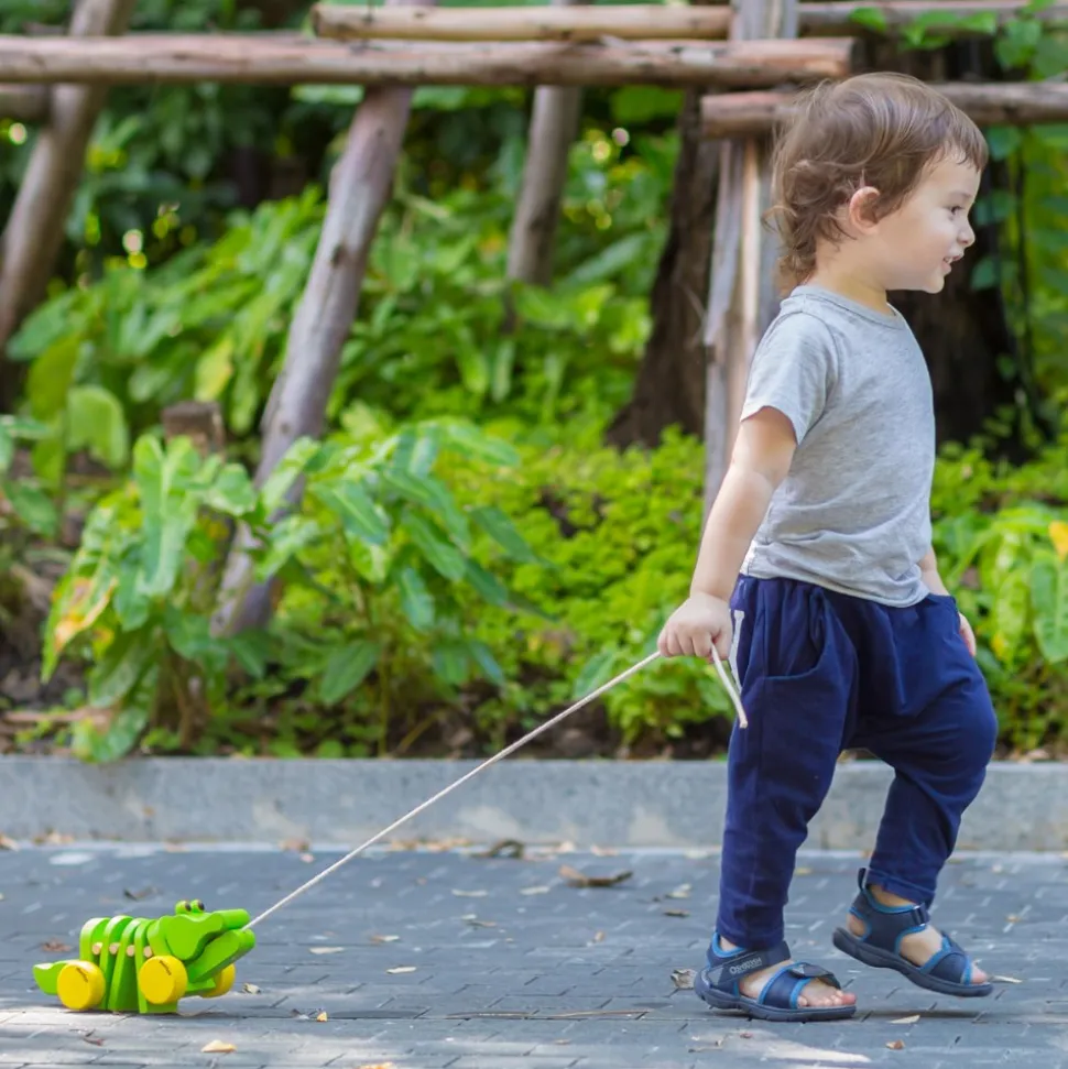 Pull Along Snail and Dancing Alligator Pull Toys