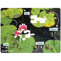 Realistic Animal and Plant Life Cycle Floor Puzzles