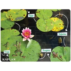 Realistic Animal and Plant Life Cycle Floor Puzzles