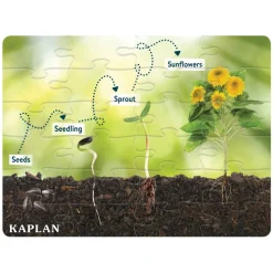 Realistic Animal and Plant Life Cycle Floor Puzzles