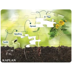 Realistic Animal and Plant Life Cycle Floor Puzzles