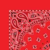 Red Bandana Set of 10