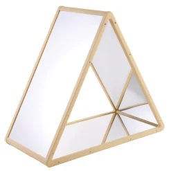 Reflection Triangle