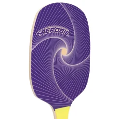 Regulation Size Pickleball Paddles with Ball