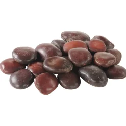 Sea Beans Loose Parts 2 lb Bag