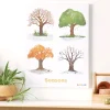 Seasons of Trees Giclee Classroom Wall Print