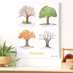 Seasons of Trees Giclee Classroom Wall Print