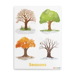 Seasons of Trees Giclee Classroom Wall Print