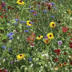 Seed Stones Bird & Butterfly Mix