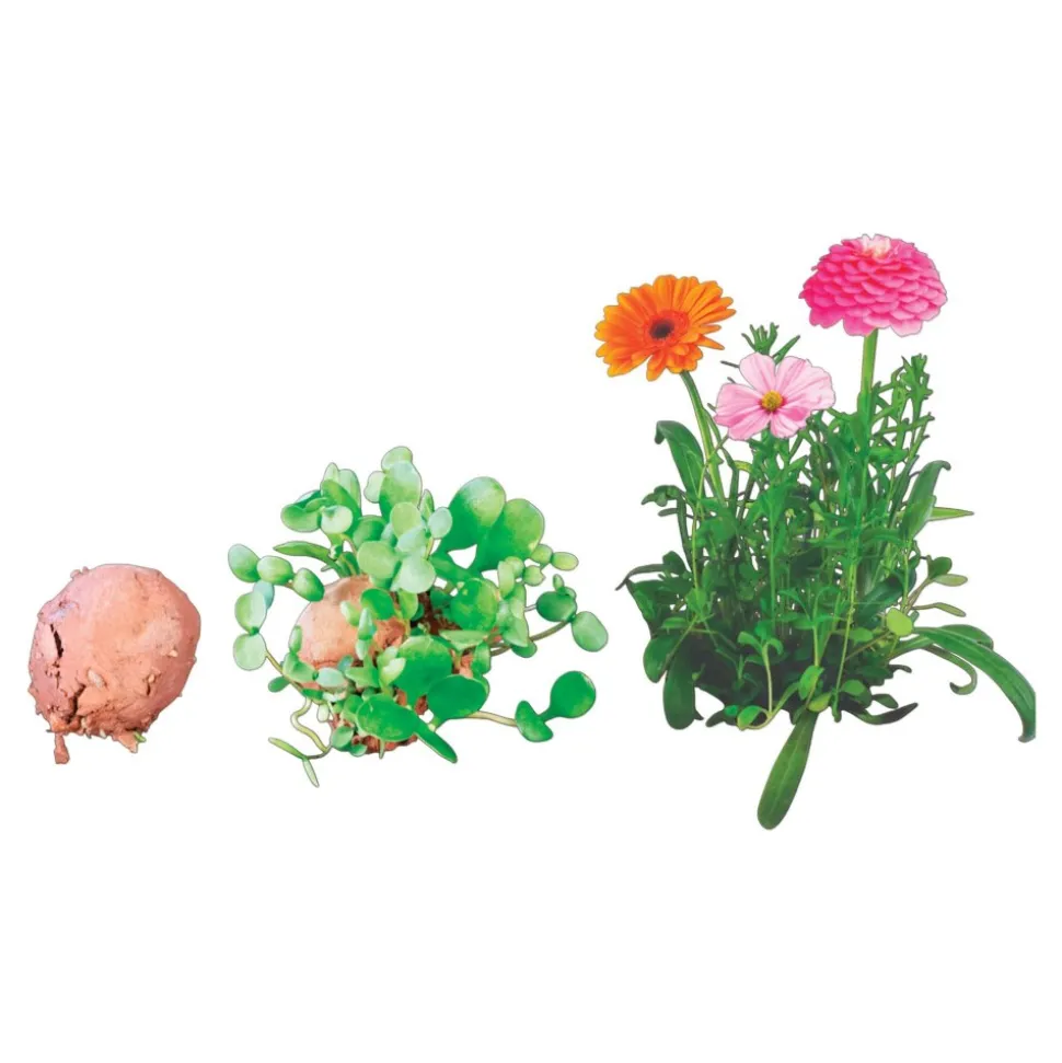 Seed Stones Bird & Butterfly Mix