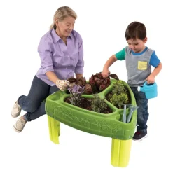 Seed To Sprout Raised Garden