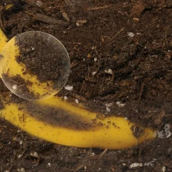 See-Through Composter