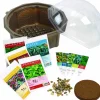Sensory Eco-Biosphere Plant Dome with 5 Different Seeds