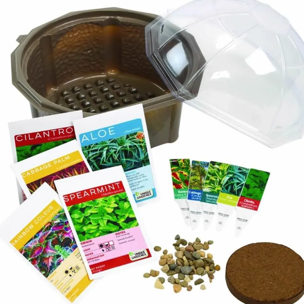 Sensory Eco-Biosphere Plant Dome with 5 Different Seeds
