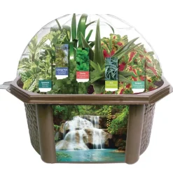 Sensory Eco-Biosphere Plant Dome with 5 Different Seeds