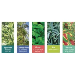 Sensory Eco-Biosphere Plant Dome with 5 Different Seeds